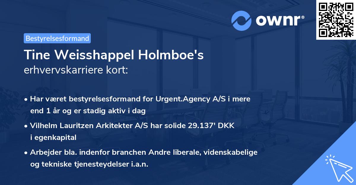 Tine Weisshappel Holmboe's erhvervskarriere kort