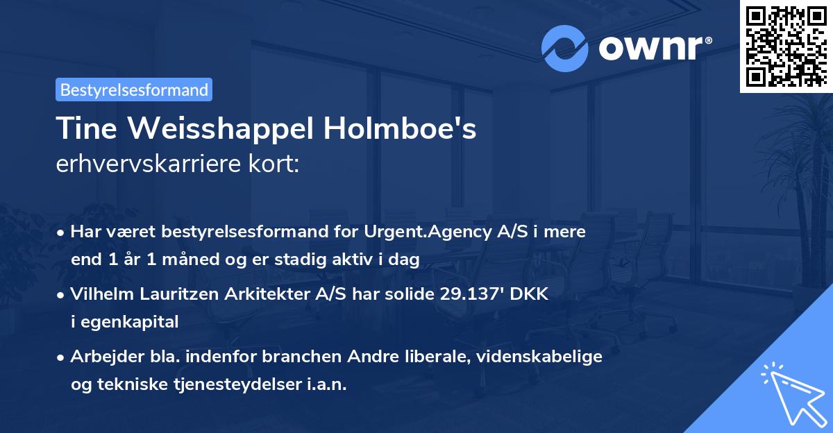 Tine Weisshappel Holmboe's erhvervskarriere kort
