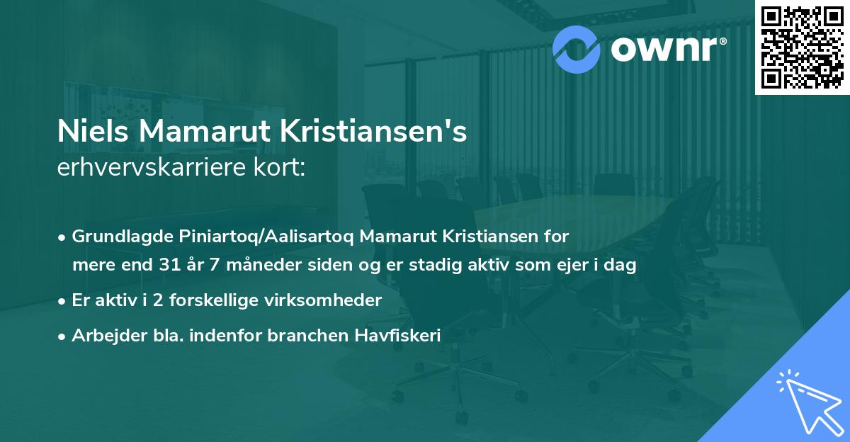 Niels Mamarut Kristiansen's erhvervskarriere kort