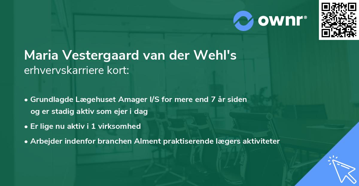 Maria Vestergaard van der Wehl's erhvervskarriere kort