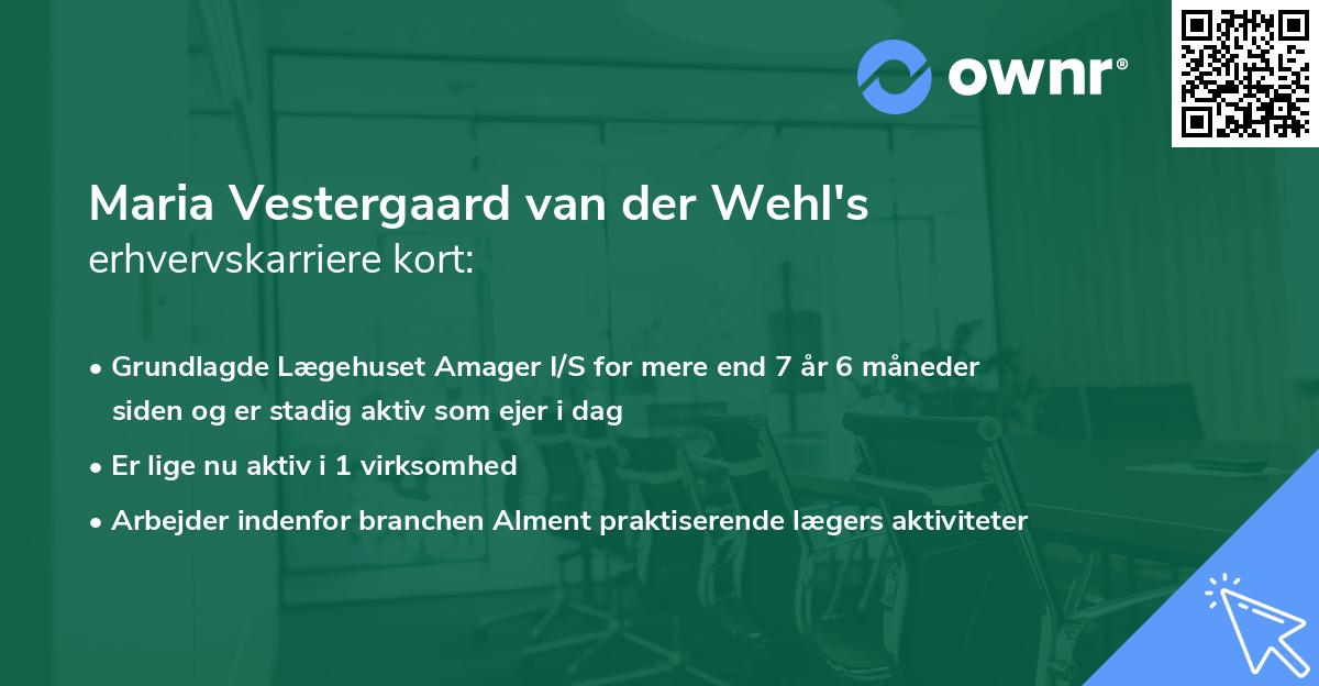 Maria Vestergaard van der Wehl's erhvervskarriere kort