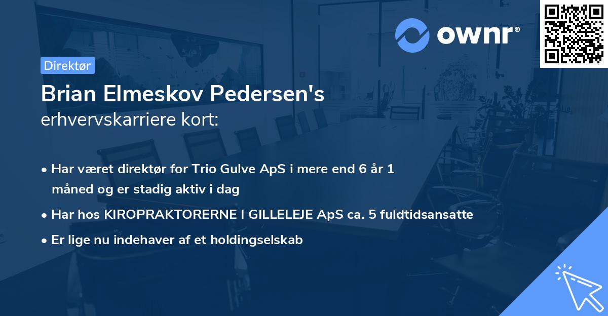 Brian Elmeskov Pedersen's erhvervskarriere kort