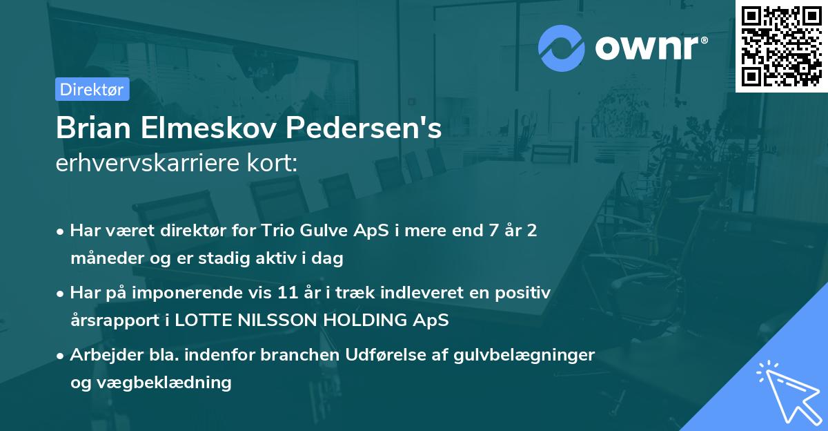 Brian Elmeskov Pedersen's erhvervskarriere kort