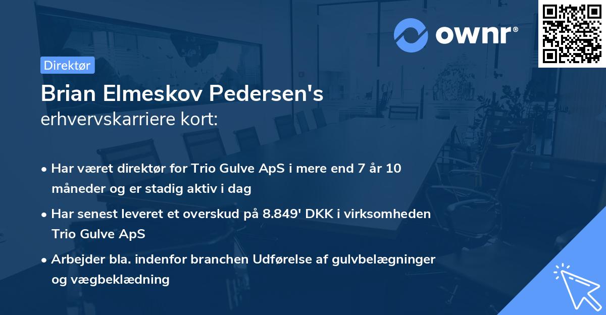 Brian Elmeskov Pedersen's erhvervskarriere kort