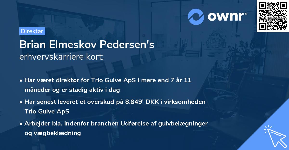 Brian Elmeskov Pedersen's erhvervskarriere kort