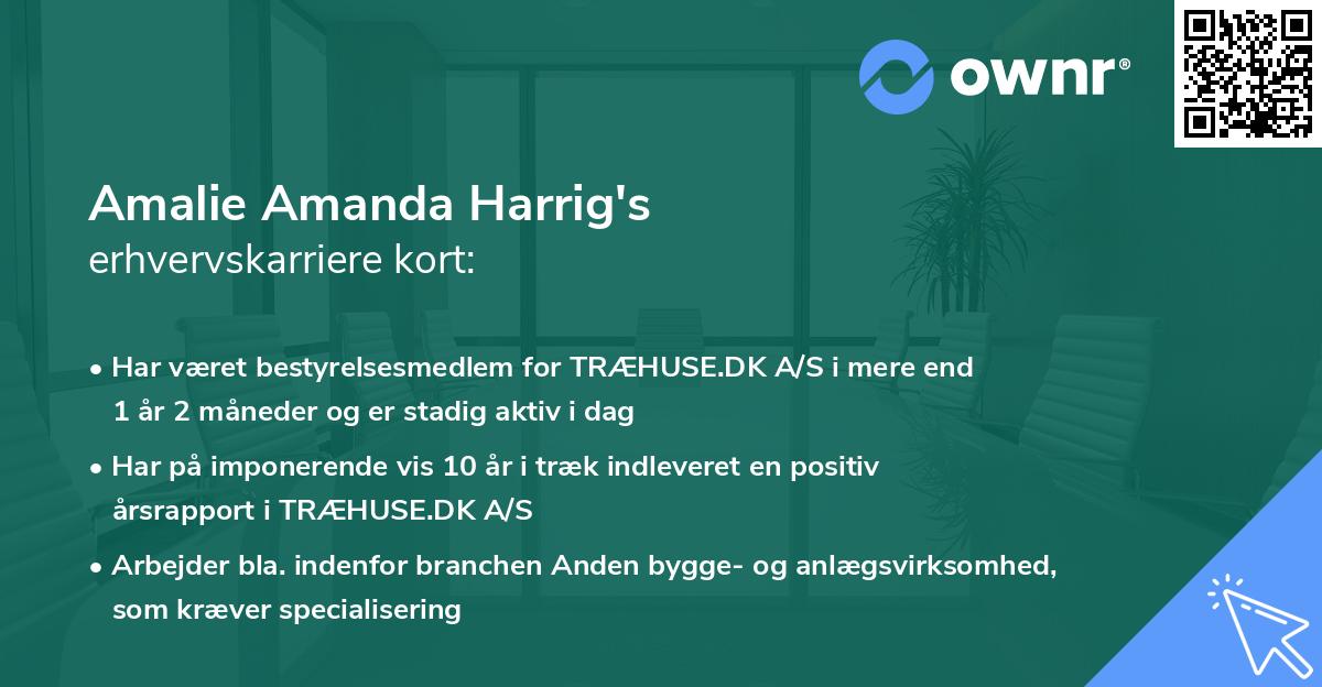 Amalie Amanda Harrig's erhvervskarriere kort