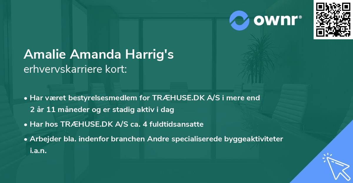 Amalie Amanda Harrig's erhvervskarriere kort