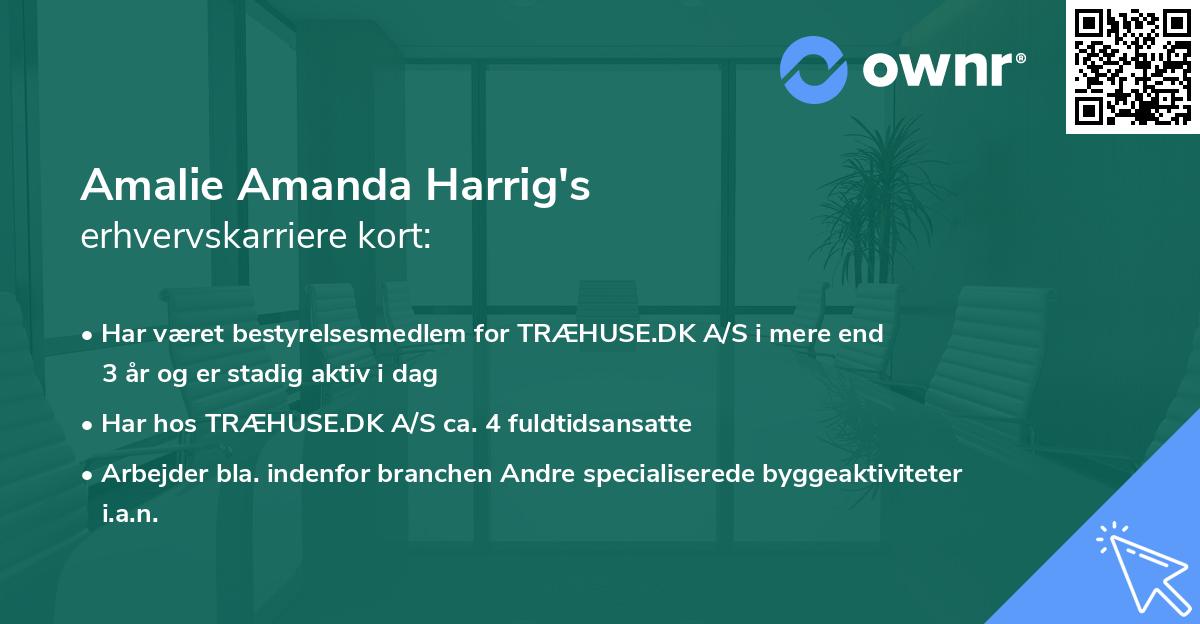 Amalie Amanda Harrig's erhvervskarriere kort