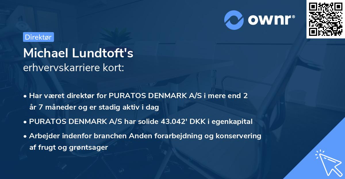 Michael Lundtoft's erhvervskarriere kort