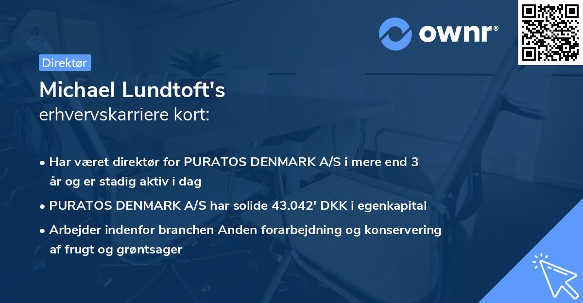 Michael Lundtoft's erhvervskarriere kort