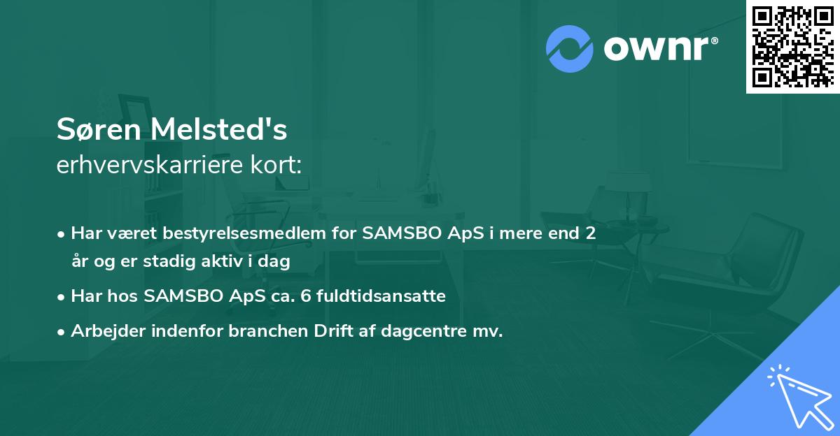 Søren Melsted's erhvervskarriere kort