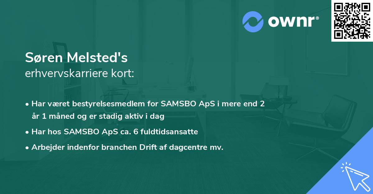 Søren Melsted's erhvervskarriere kort