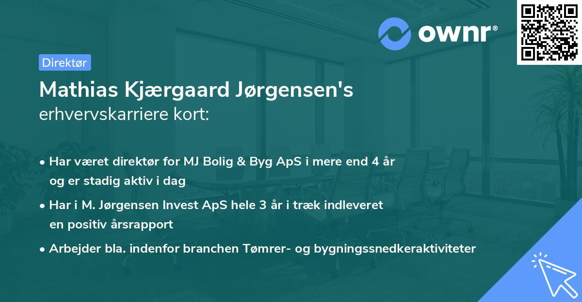 Mathias Kjærgaard Jørgensen's erhvervskarriere kort