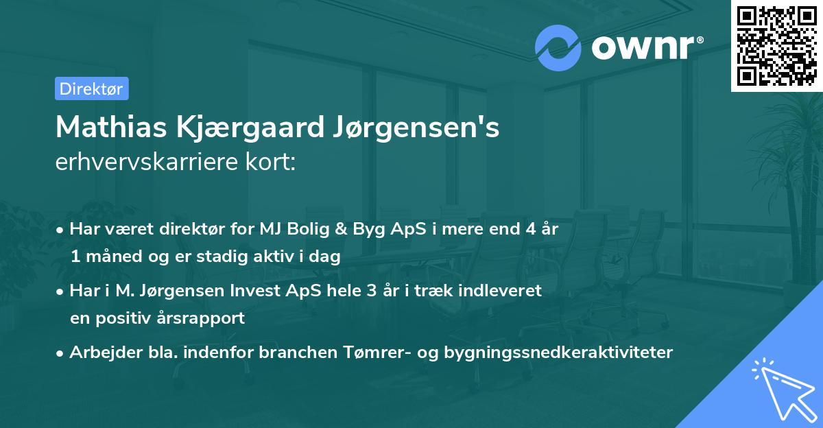 Mathias Kjærgaard Jørgensen's erhvervskarriere kort