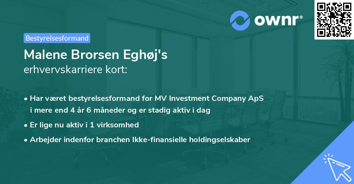 Malene Brorsen Eghøj's erhvervskarriere kort