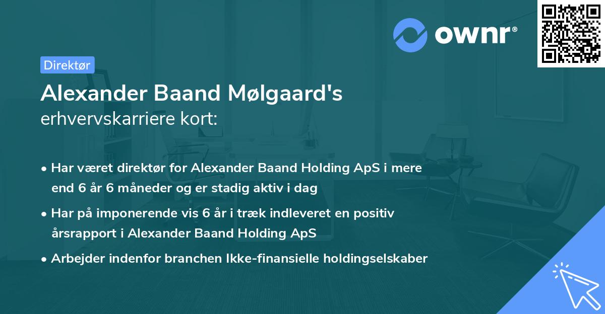 Alexander Baand Mølgaard's erhvervskarriere kort