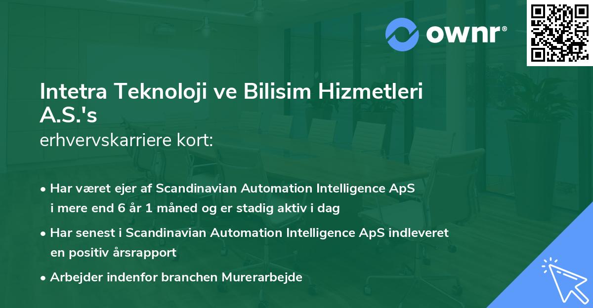 Intetra Teknoloji ve Bilisim Hizmetleri A.S.'s erhvervskarriere kort