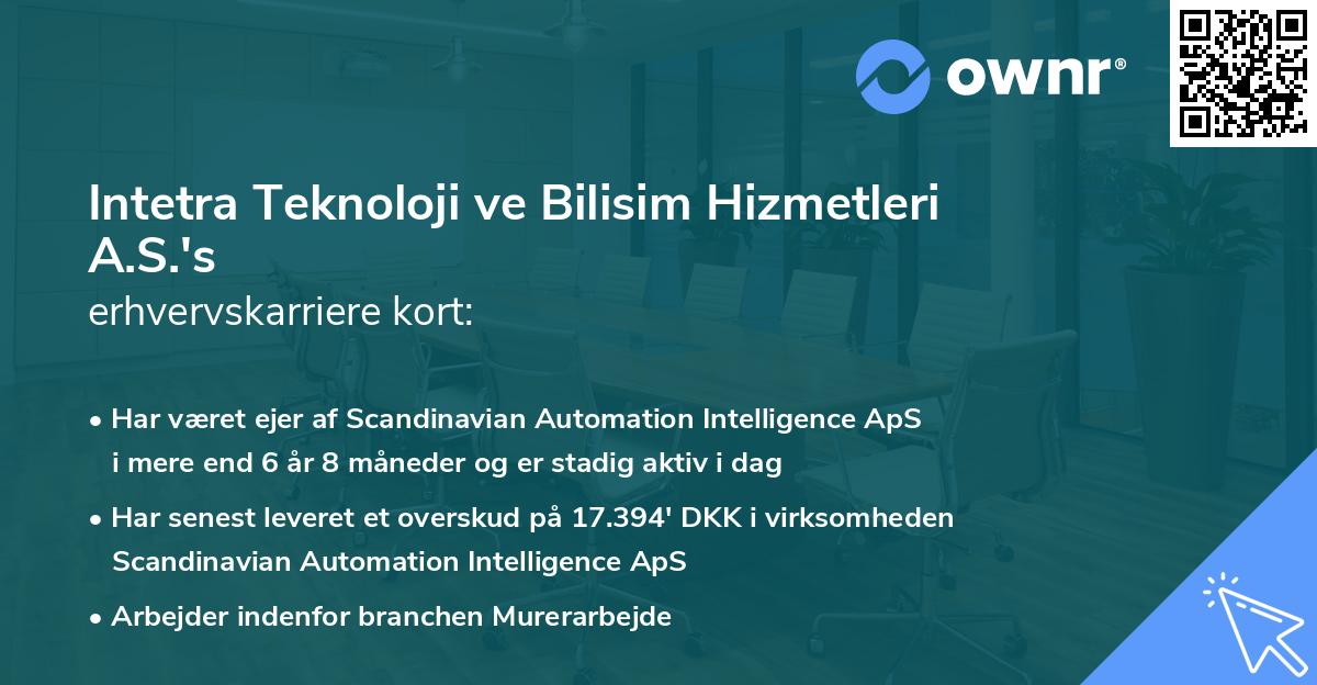 Intetra Teknoloji ve Bilisim Hizmetleri A.S.'s erhvervskarriere kort