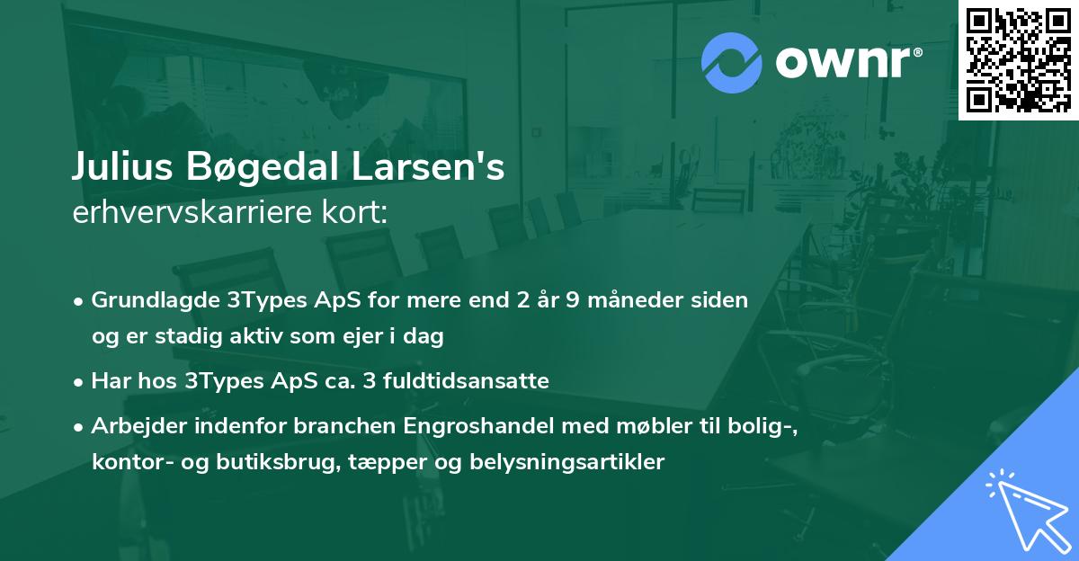 Julius Bøgedal Larsen's erhvervskarriere kort