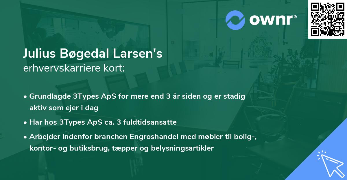 Julius Bøgedal Larsen's erhvervskarriere kort