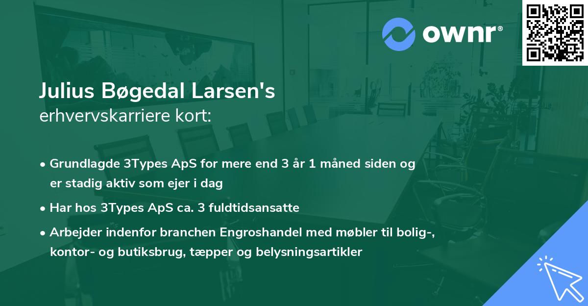Julius Bøgedal Larsen's erhvervskarriere kort