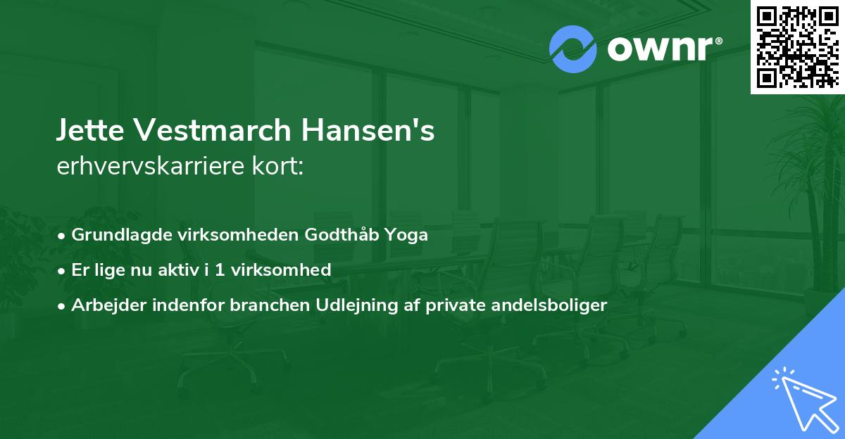 Jette Vestmarch Hansen's erhvervskarriere kort