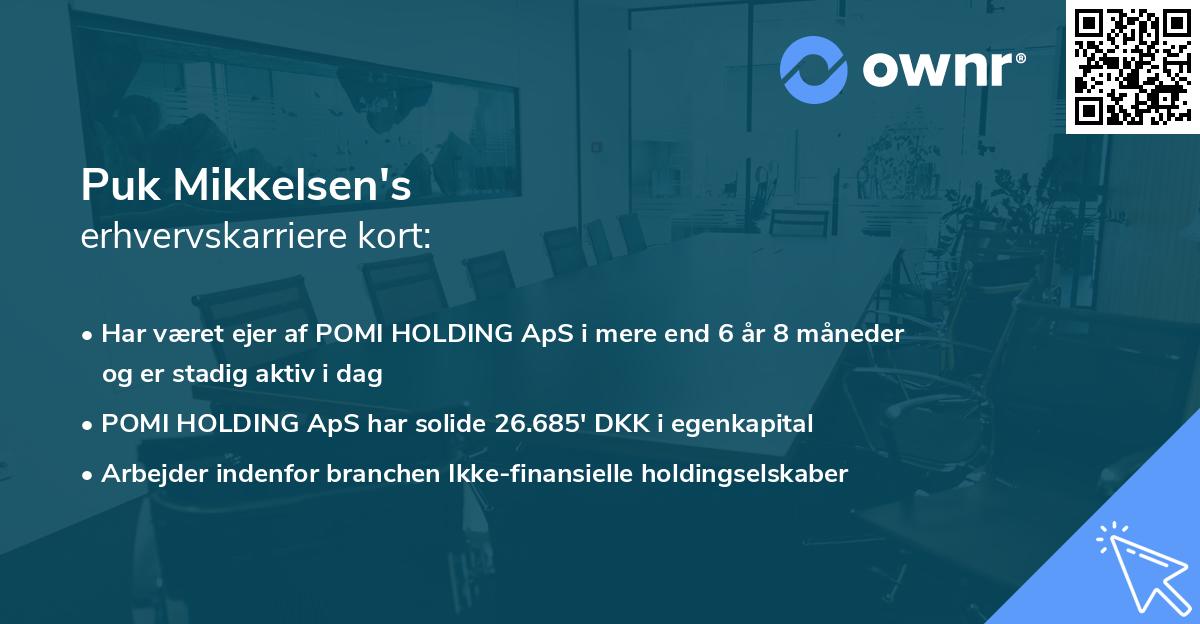 Puk Mikkelsen's erhvervskarriere kort