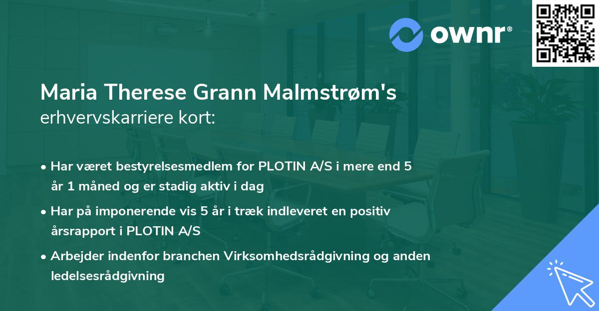 Maria Therese Grann Malmstrøm's erhvervskarriere kort