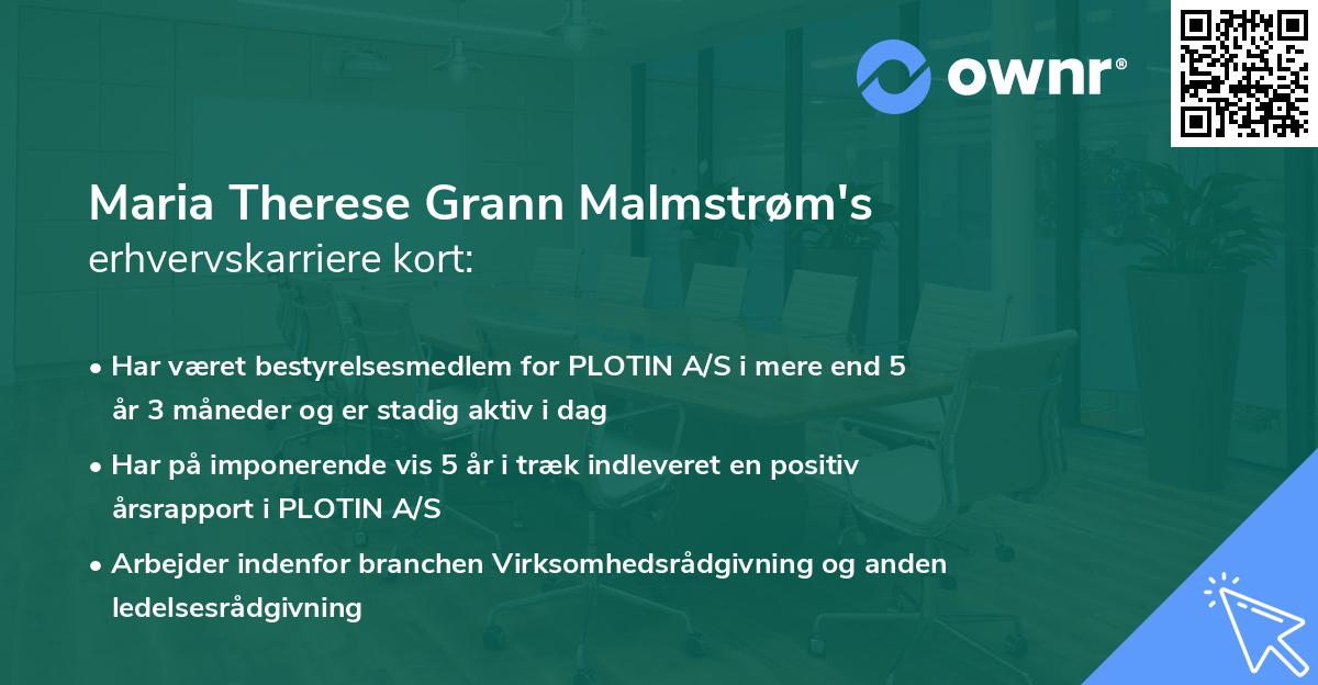 Maria Therese Grann Malmstrøm's erhvervskarriere kort