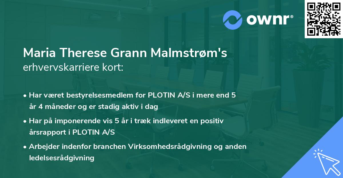 Maria Therese Grann Malmstrøm's erhvervskarriere kort