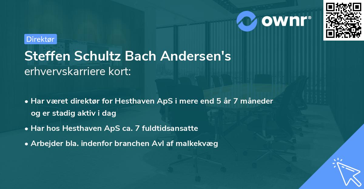 Steffen Schultz Bach Andersen's erhvervskarriere kort