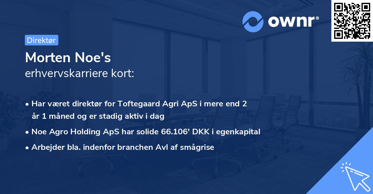 Morten Noe's erhvervskarriere kort