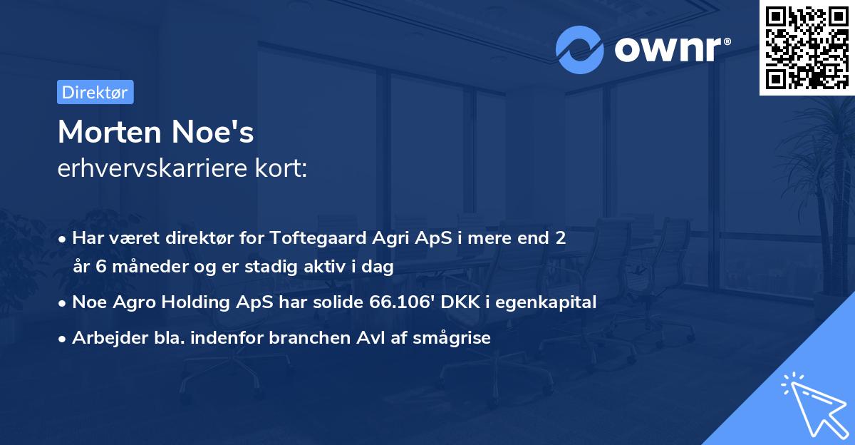 Morten Noe's erhvervskarriere kort