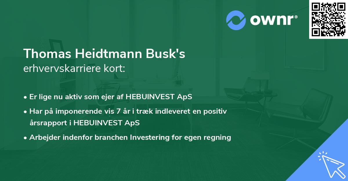 Thomas Heidtmann Busk's erhvervskarriere kort