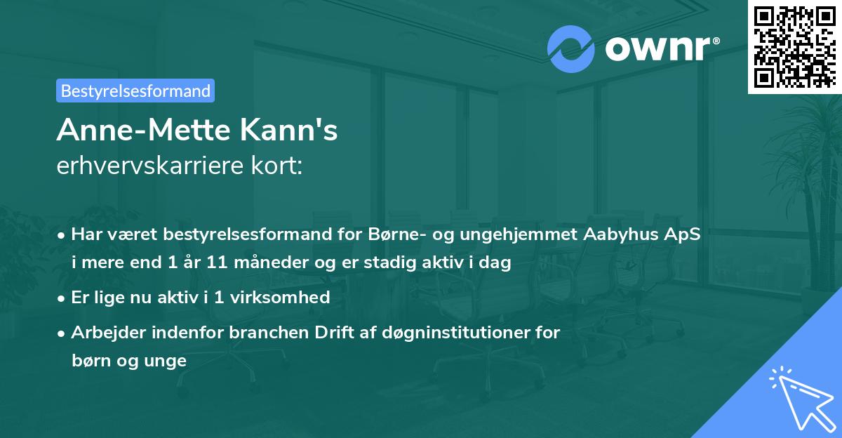 Anne-Mette Kann's erhvervskarriere kort