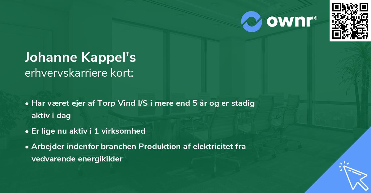 Johanne Kappel's erhvervskarriere kort