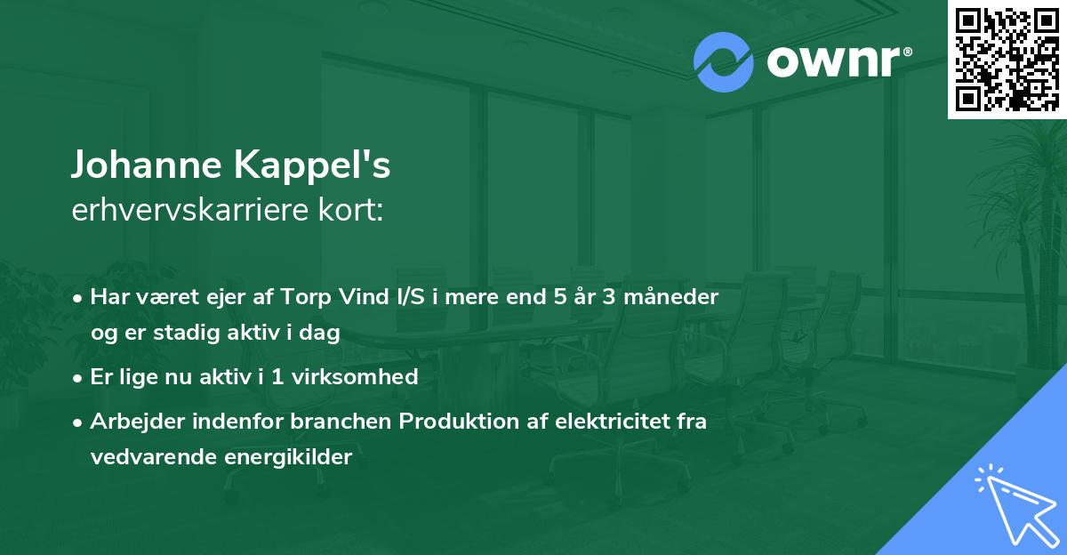 Johanne Kappel's erhvervskarriere kort