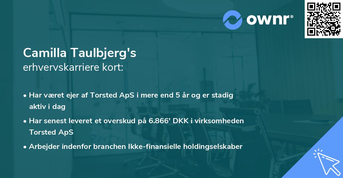 Camilla Taulbjerg's erhvervskarriere kort