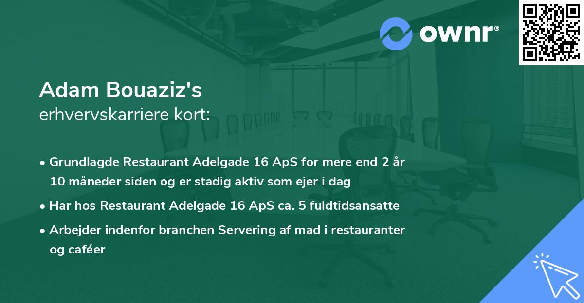 Adam Bouaziz's erhvervskarriere kort