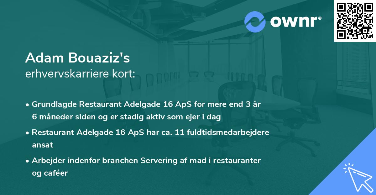 Adam Bouaziz's erhvervskarriere kort
