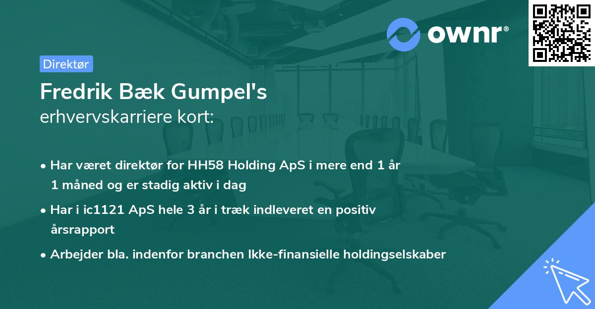 Fredrik Bæk Gumpel's erhvervskarriere kort