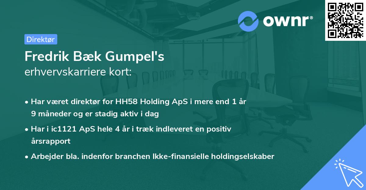 Fredrik Bæk Gumpel's erhvervskarriere kort