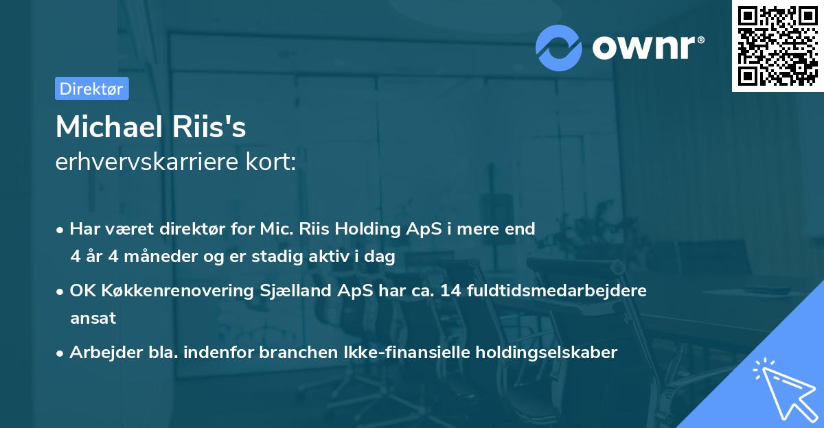 Michael Riis's erhvervskarriere kort