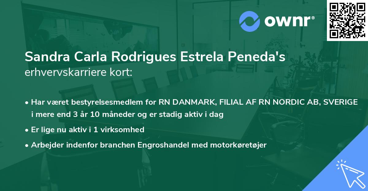 Sandra Carla Rodrigues Estrela Peneda's erhvervskarriere kort
