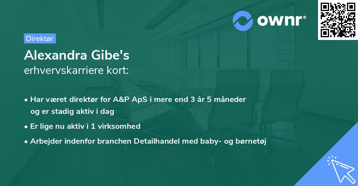 Alexandra Gibe's erhvervskarriere kort