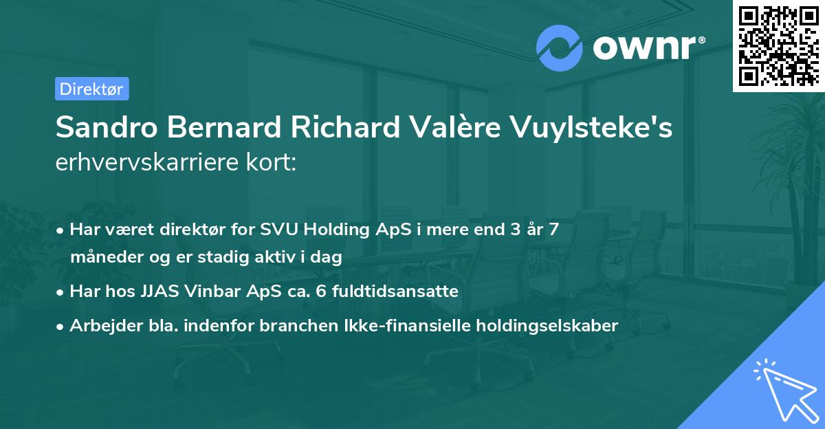 Sandro Bernard Richard Valère Vuylsteke's erhvervskarriere kort