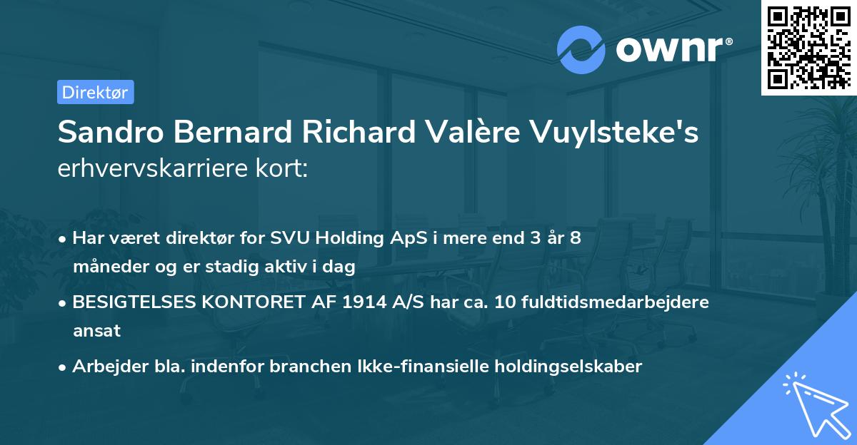 Sandro Bernard Richard Valère Vuylsteke's erhvervskarriere kort
