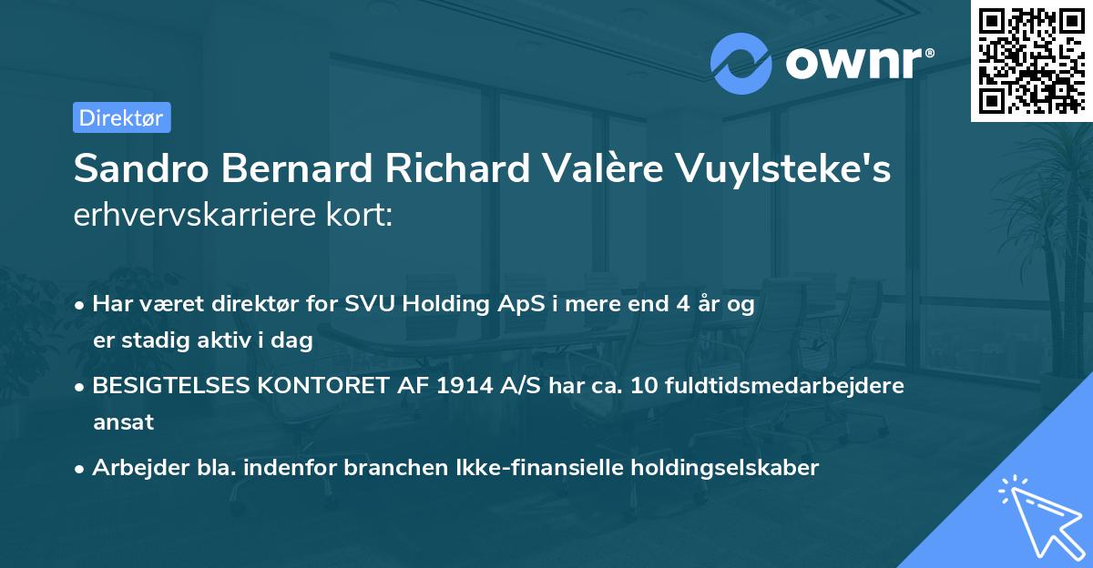 Sandro Bernard Richard Valère Vuylsteke's erhvervskarriere kort