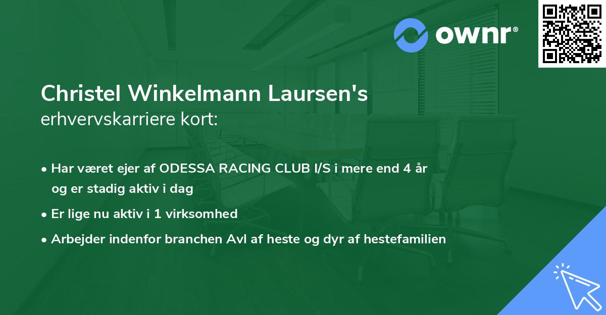 Christel Winkelmann Laursen's erhvervskarriere kort