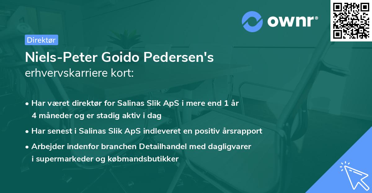 Niels-Peter Goido Pedersen's erhvervskarriere kort